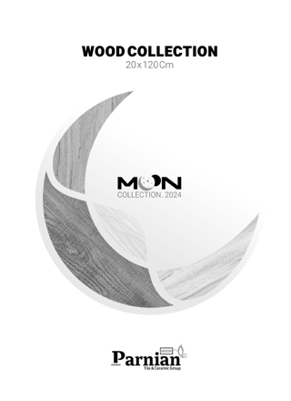 محصولات کاشی پرنیان 120*20