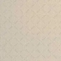 پرسلان ضد اسید