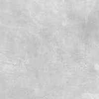 کاشی نقره ای