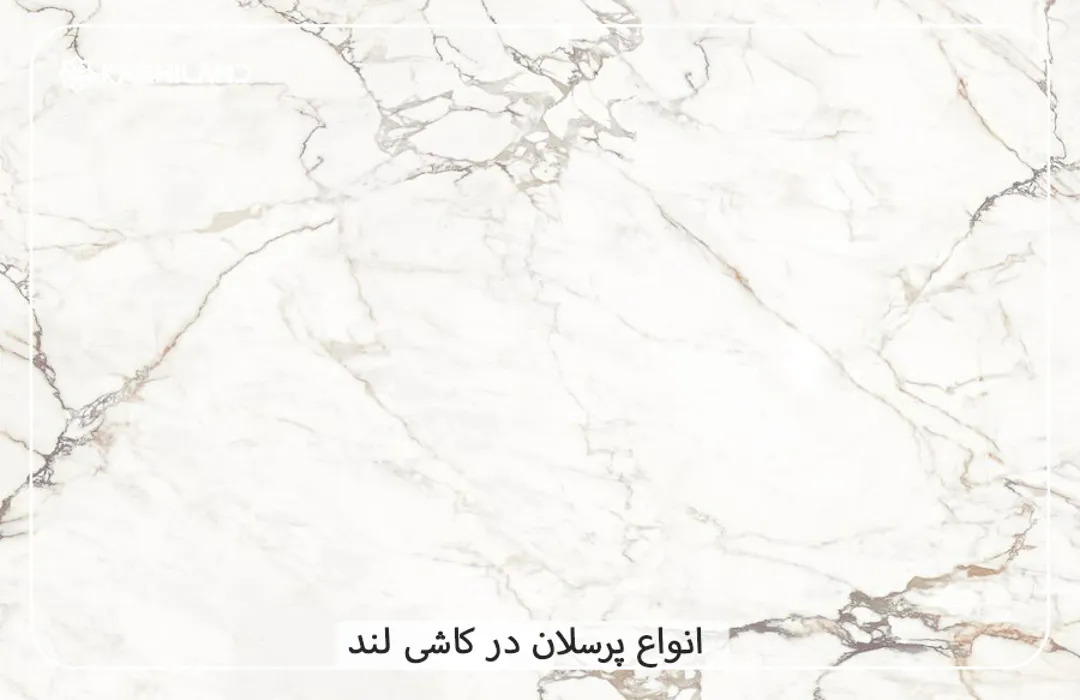 اینفو دسته بندی3.jpg
