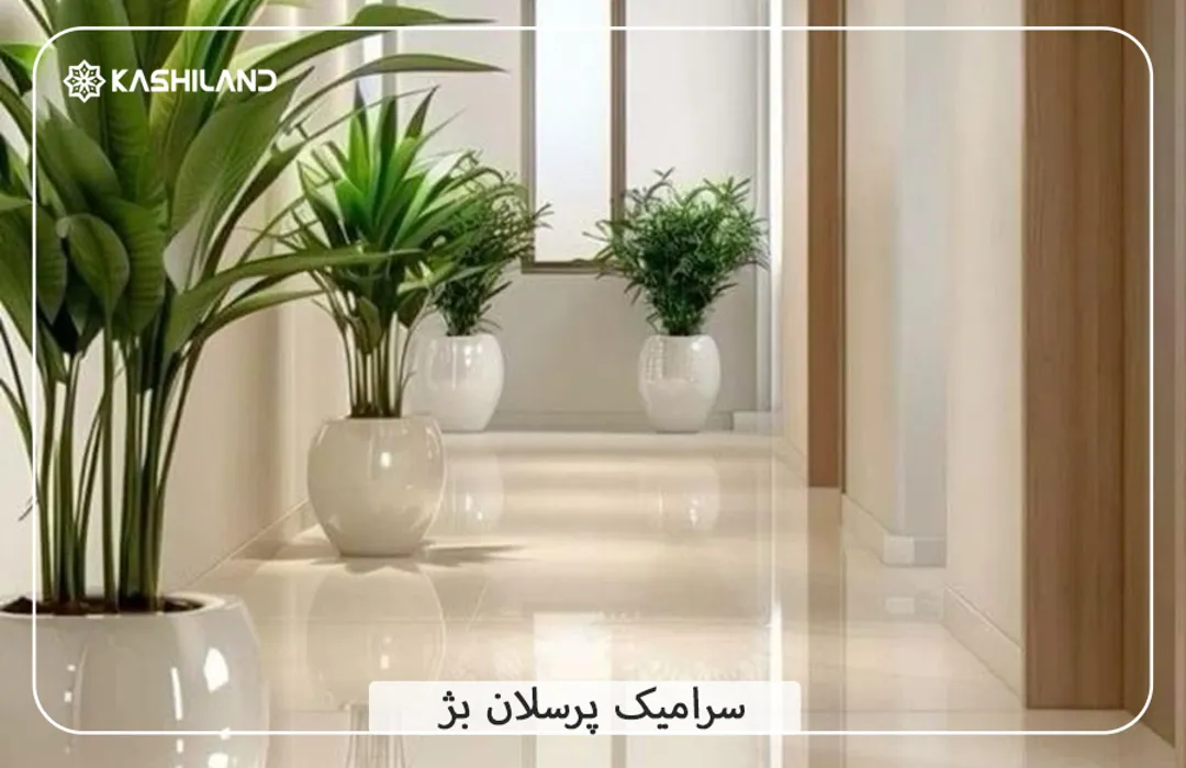 اینفو دسته بندی3.jpg