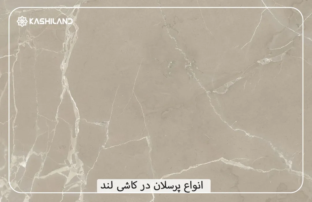 اینفو دسته بندی2.jpg