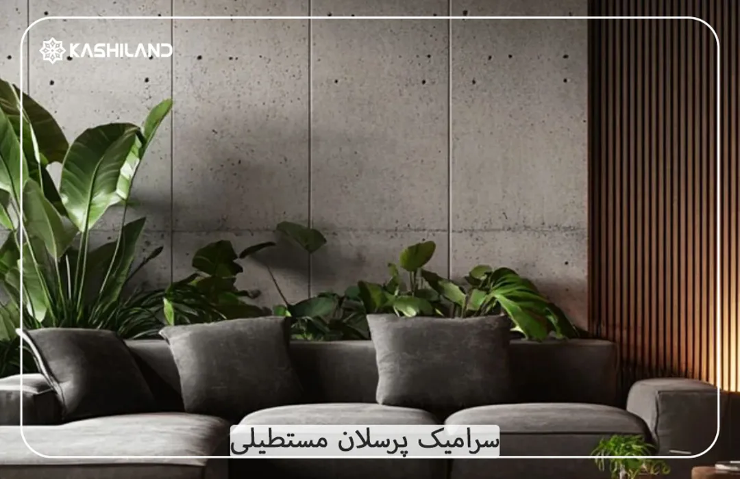 اینفو دسته بندی2.jpg