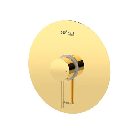 Toilet-Gold.jpg
