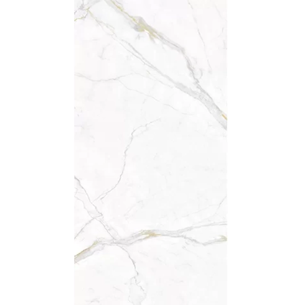 New Project (22).webp