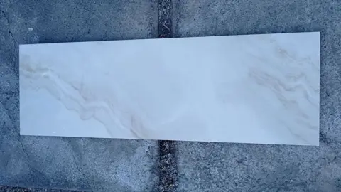 نمونه زنده کرم ساده.jpg