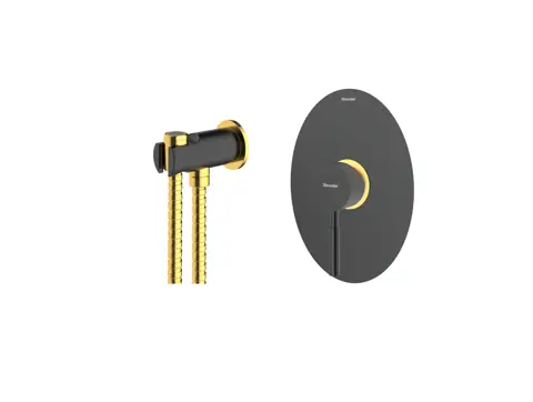 شیر توالت توکار شودر مدل روگن