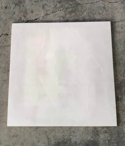 نمونه زنده.jpg