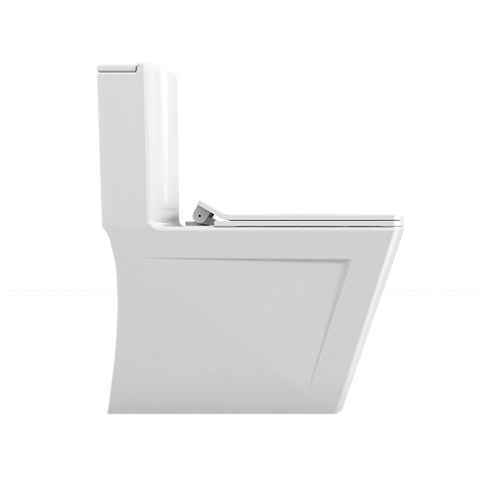 Veronia-Monoblock-Toilet-Left.png