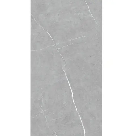 سرامیک سرام نگار طرح لاریسا طوسی مات سایز 120*60 سرامیک سرام نگار طرح لاریسا طوسی مات سایز 120*60