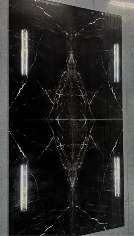 نمونه زنده پگاسوس.jpg