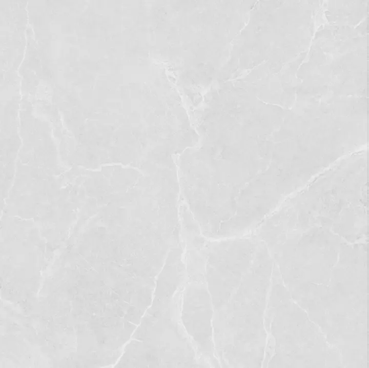 سرامیک سرام نگار طرح کارولینا طوسی روشن مات سایز 100*100 سرامیک سرام نگار طرح کارولینا طوسی روشن مات سایز 100*100