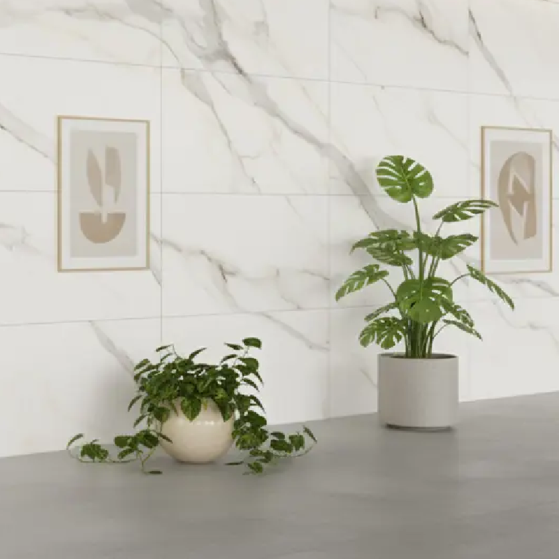 New Project (35).webp