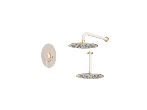 شیر حمام توکار شودر مدل روگن تیپ 1 BRASS