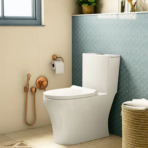 Consept-Monoblock-Toilet-design.jpg