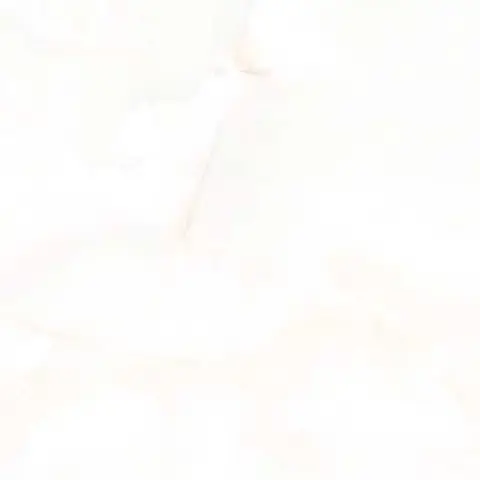 پرسلان الوند طرح لستر استخوانی پولیش سایز 100*100