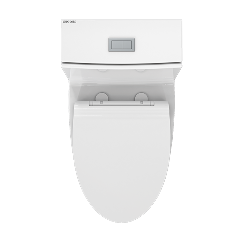 Floria-Monoblock-Toilet-Top.png