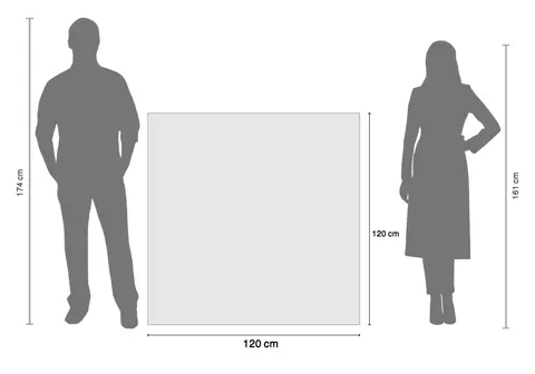 120-120.jpg