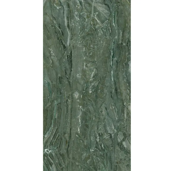 اسلب پرنیان طرح بوک مچ دیسکاور سبز نانو پولیش سایز 240*120 اسلب پرنیان طرح بوک مچ دیسکاور سبز نانو پولیش سایز 240*120