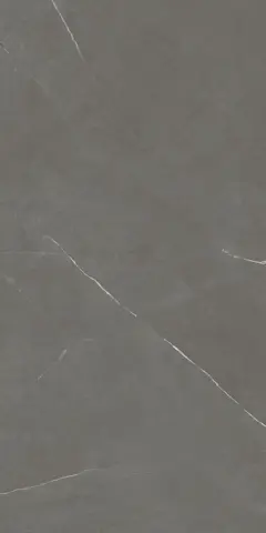 پرسلان مرجان طرح پیترا طوسی پولیش کد 8101 سایز 60*120 پرسلان مرجان طرح پیترا طوسی پولیش کد 8101 سایز 60*120