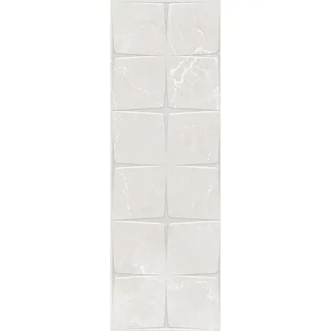 برودی طوسی.jpg