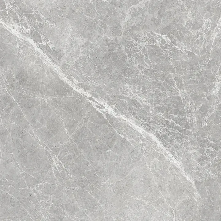 سرامیک سرام نگار طرح لیندا طوسی مات سایز 60*60 سرامیک سرام نگار طرح لیندا طوسی مات سایز 60*60