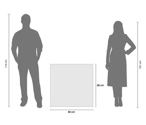 سرامیک ایفا سرام برند میلان طرح پارادیسو نقره ای مات سایز 80*80