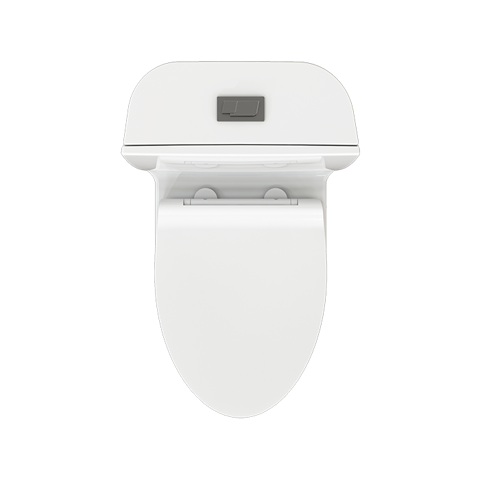 Magnolia-Monoblock-Toilet-Top.png