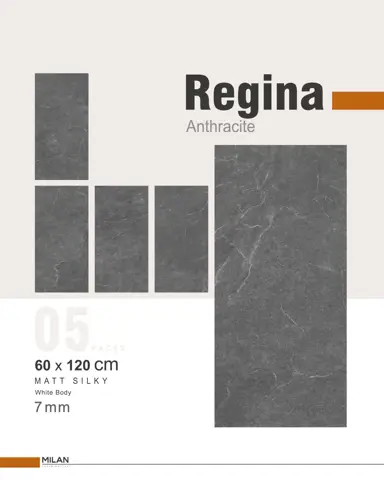 سرامیک ایفا سرام برند میلان طرح رجینا آنتراسیت مات سایز 120*60