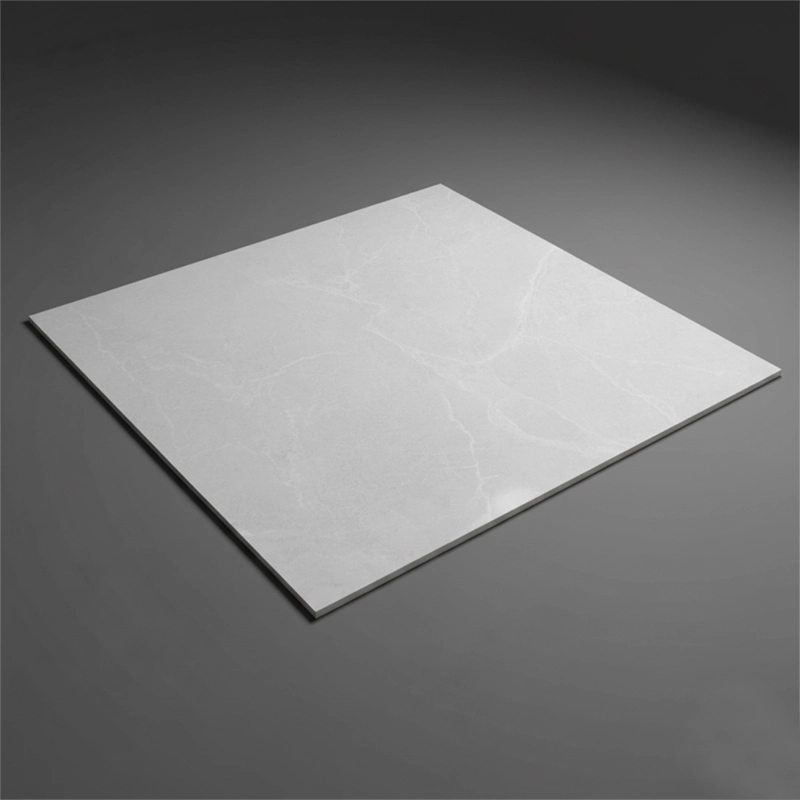 سرامیک سرام نگار طرح کارولینا طوسی روشن مات سایز 100*100