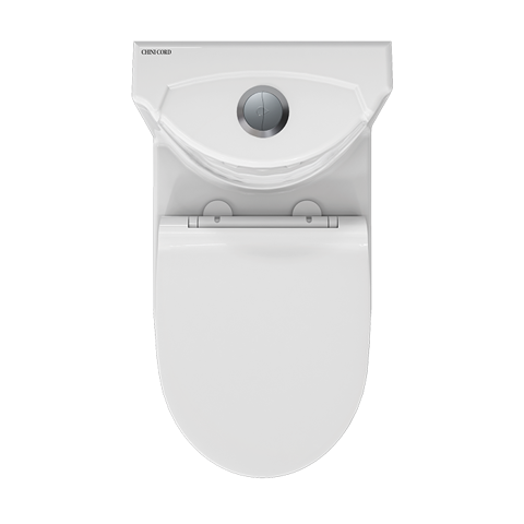 daphne-monoblock-toilet-top.png