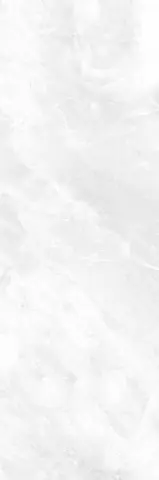 Verjina Light Gray 03 ورجینا طوسی روشن براق.jpg