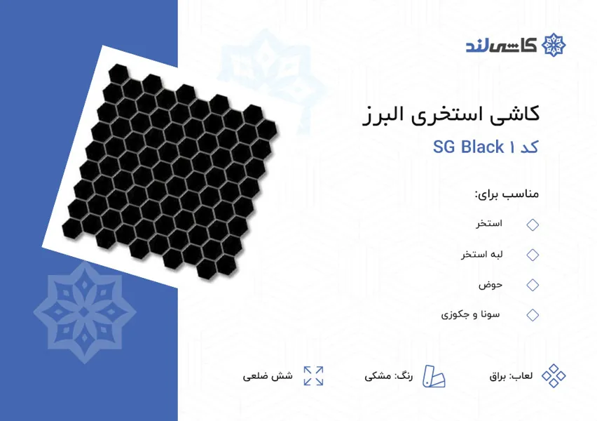 SG Black.jpg SG Black.jpg